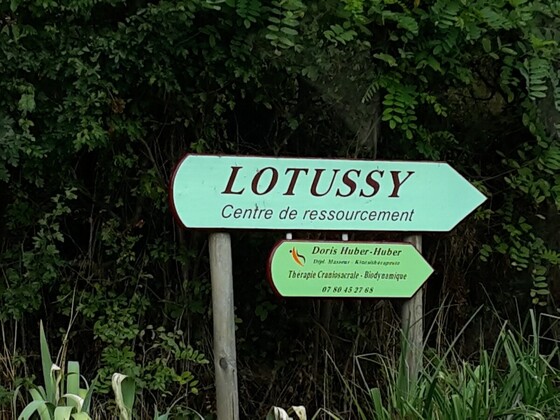 Lotussy