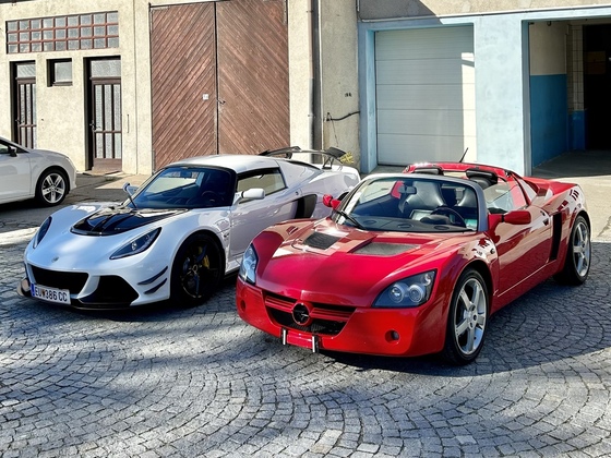 Exige with little friend